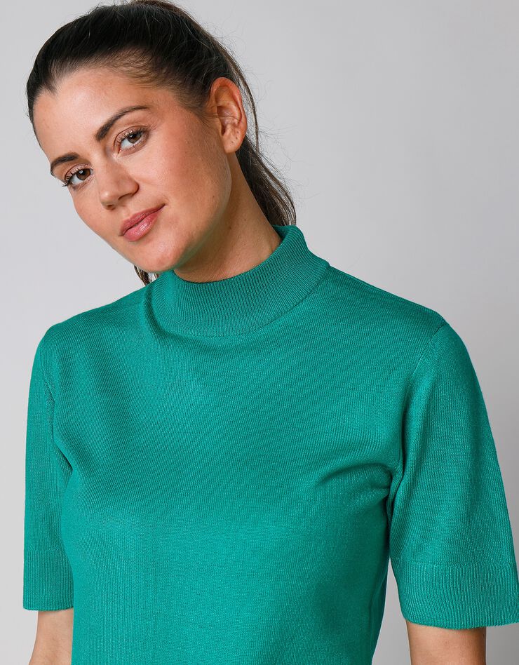 Pull col montant manches courtes toucher cachemire (vert pomme) Pull col montant manches courtes toucher cachemire (vert pomme)