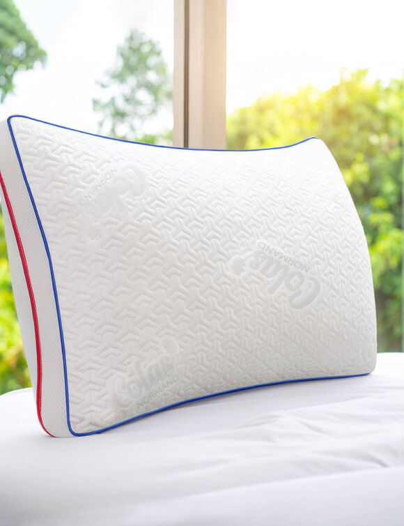 Oreiller &eacute;t&eacute;/hiver confort ferme modulable (blanc)