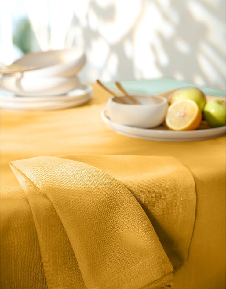 Nappe aspect lin (curry) Nappe aspect lin (curry)