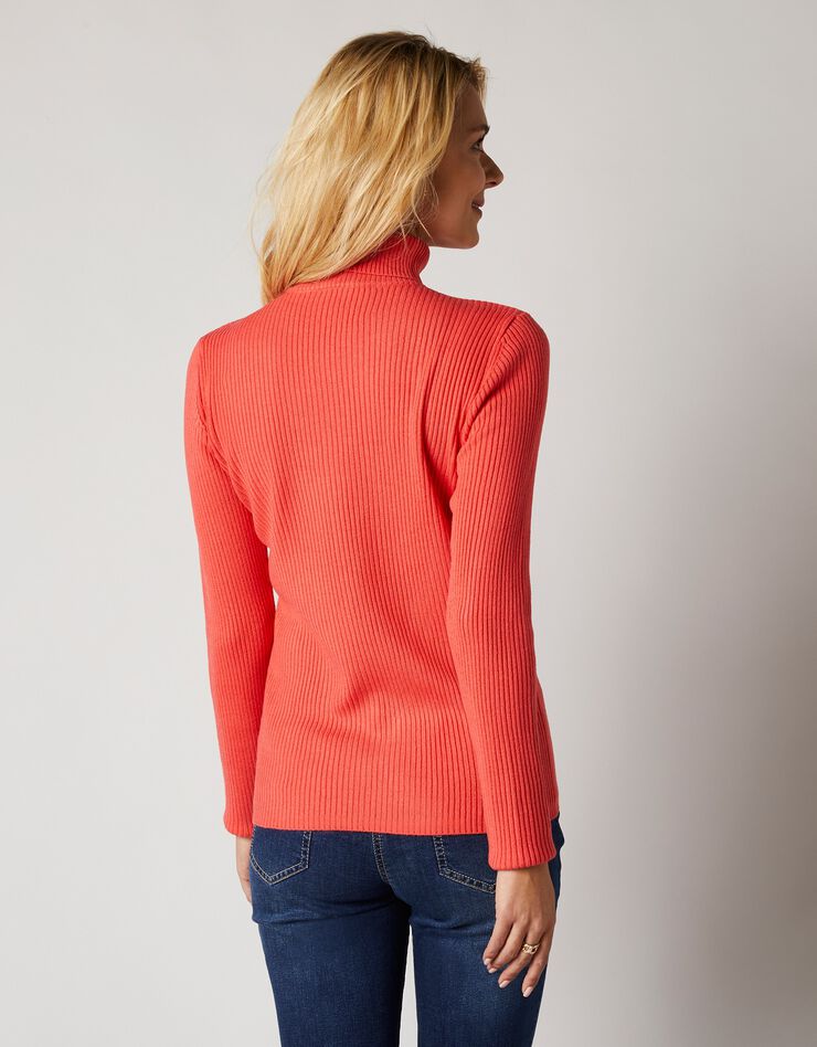 Pull col roulé uni maille côtelée (corail foncé) Pull col roulé uni maille côtelée (corail foncé)
