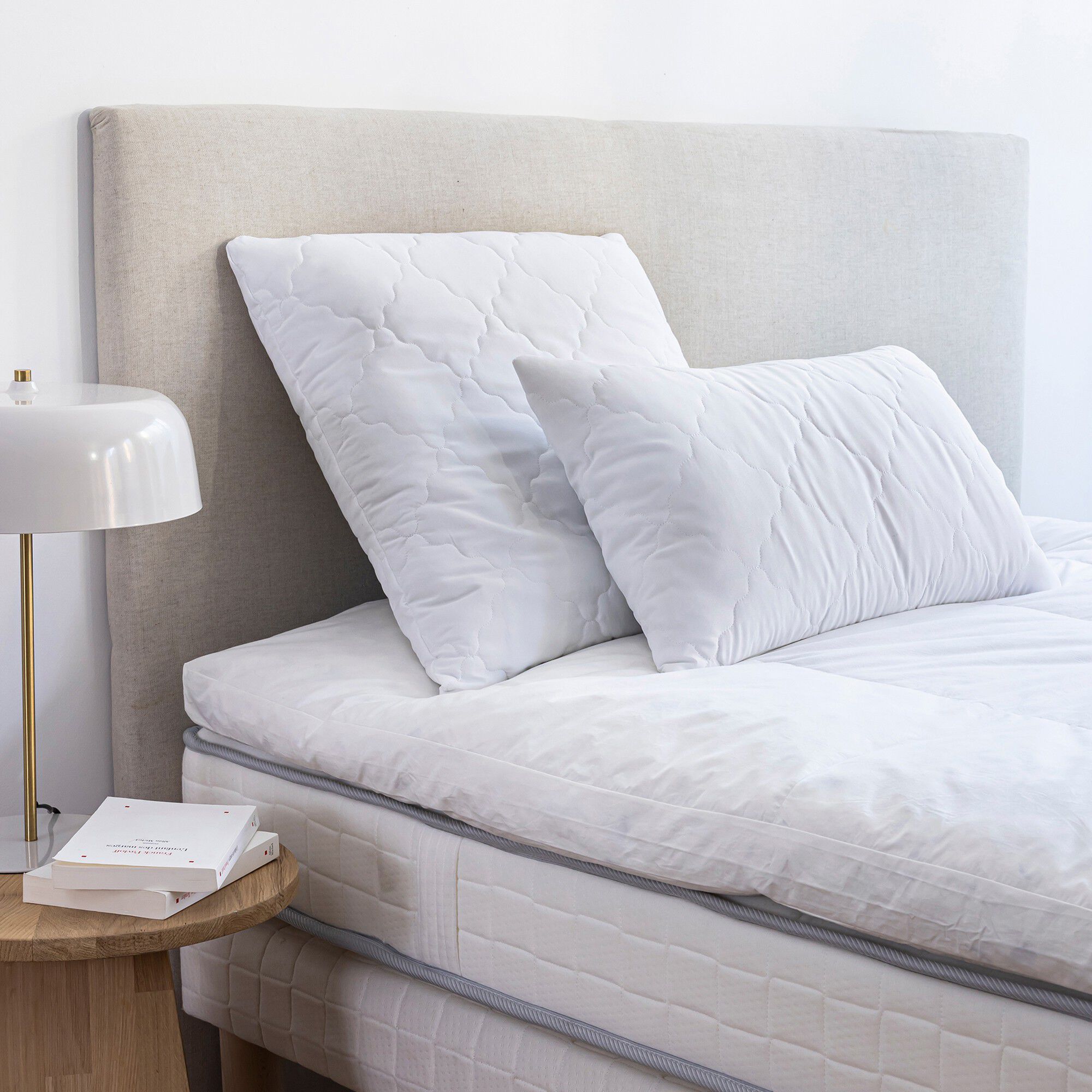 Taie d'oreiller Homescapes Taie Spécial oreiller de corps en Coton