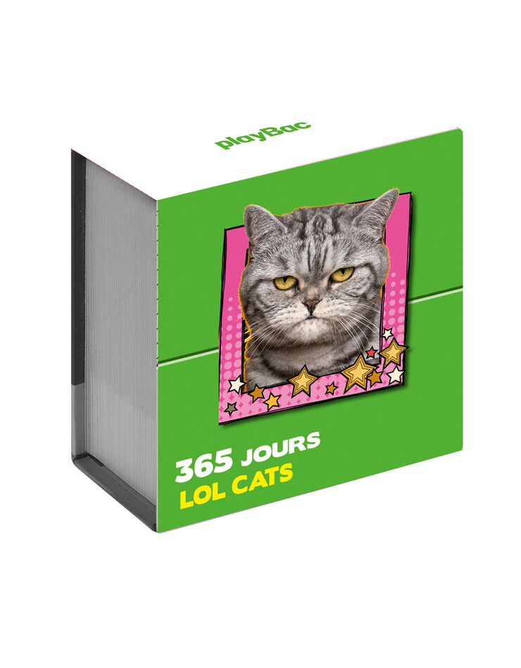 Calendrier 365 jours "LOL CATS" (unique)