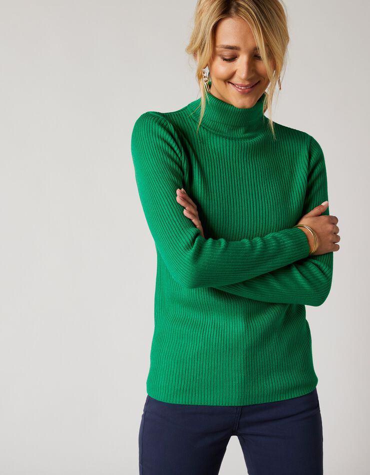 Pull col roulé uni maille côtelée (vert) Pull col roulé uni maille côtelée (vert)