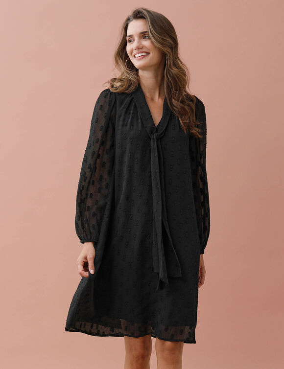 Robe trap&egrave;ze &agrave; col lavalli&egrave;re, en voile plumetis (noir)