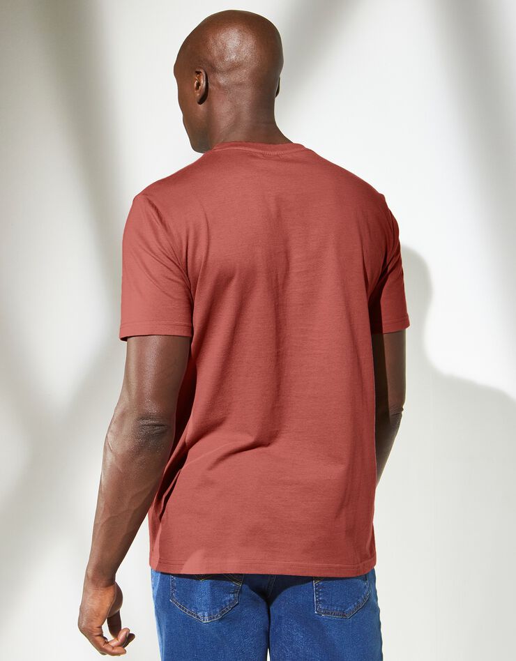 Tee-shirt rayé manches courtes (brique)