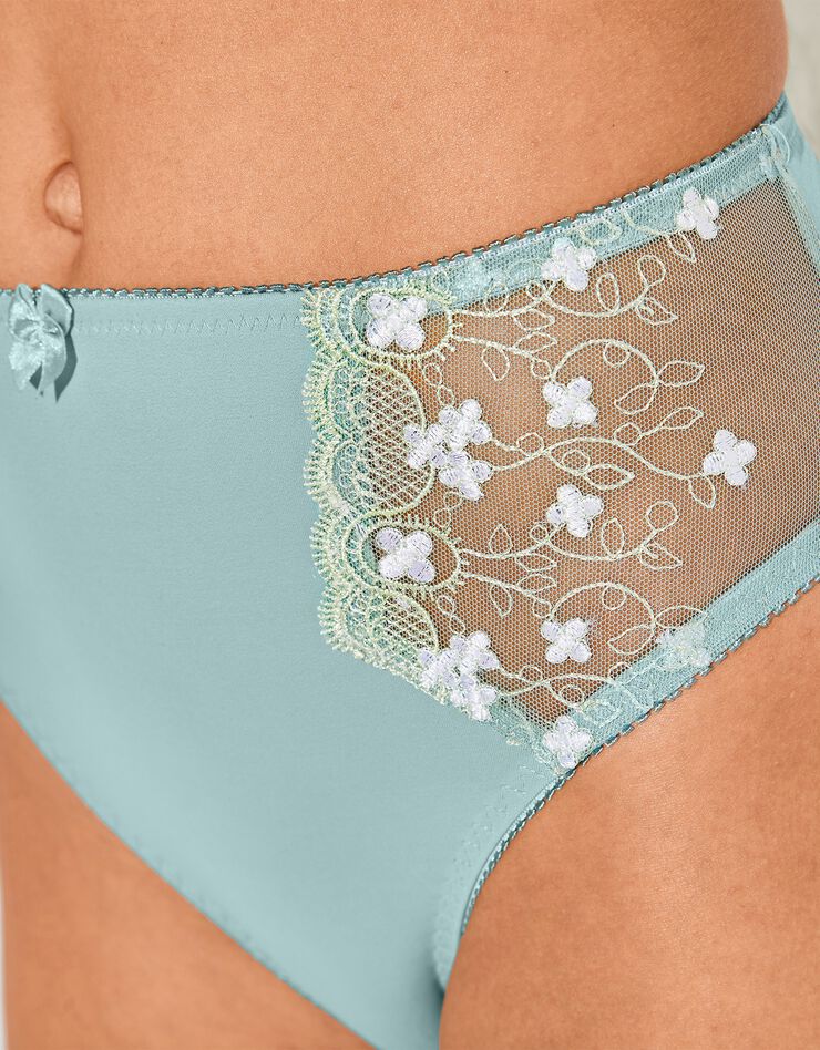 Culotte microfibre tulle brodé Caminata (vert grisé) Culotte microfibre tulle brodé Caminata (vert grisé)