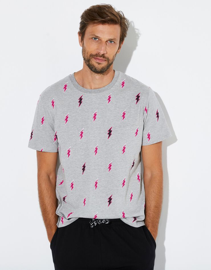 Tee-shirt imprimé homme collection Lulu la nantaise (gris) Tee-shirt imprimé homme collection Lulu la nantaise (gris)