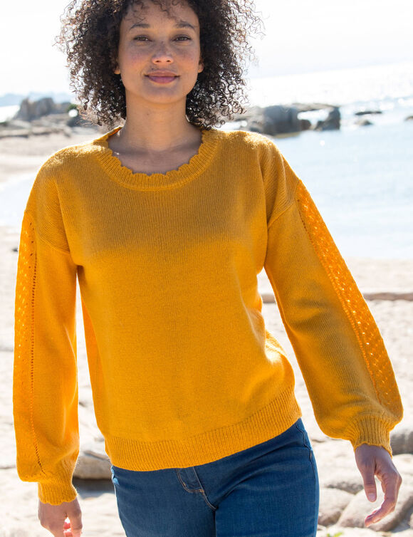 Pull col rond finitions écailles (safran)