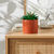 Plante verte artificielle et pot en ciment (terracotta)