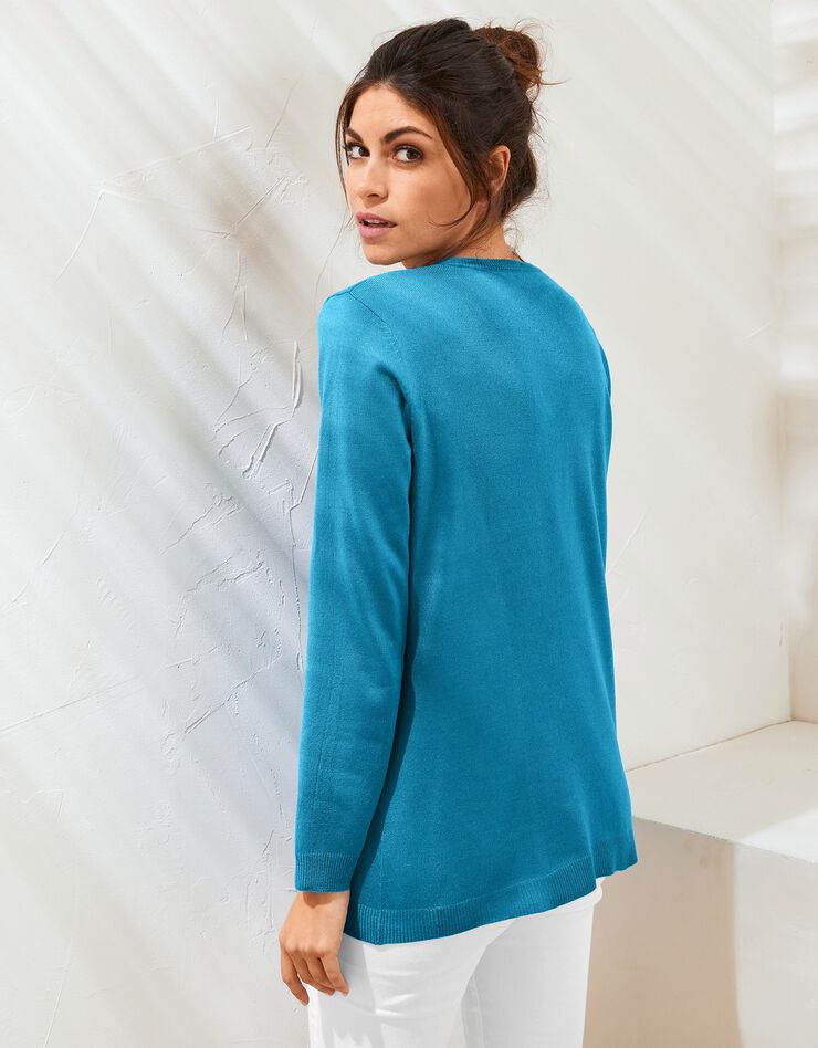 Pull col V toucher cachemire (bleu prusse) Pull col V toucher cachemire (bleu prusse)