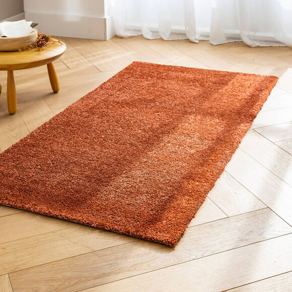 Tapis douceur et confort (terracotta)