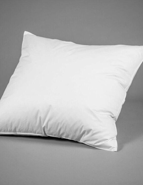 Oreiller prestige 3 zones duvet et plumettes  (blanc)