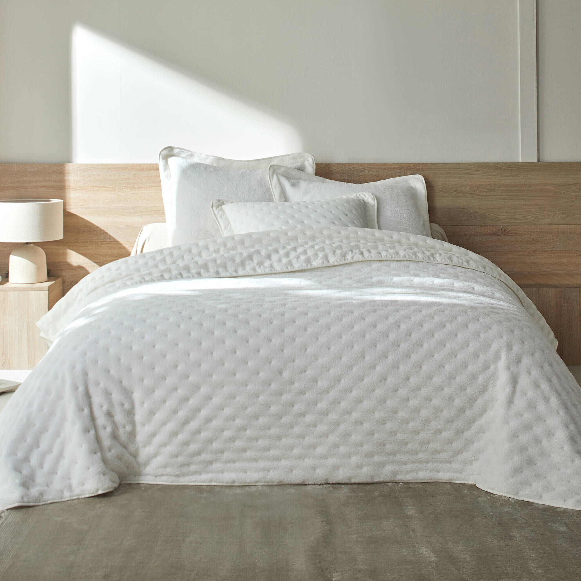 Couvre-lit King Charles - Moderne, 100% Coton, Motif Floral Ivoire, Dimensions 274x244 Cm