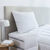 Oreiller plumes en lot de 2 (blanc)