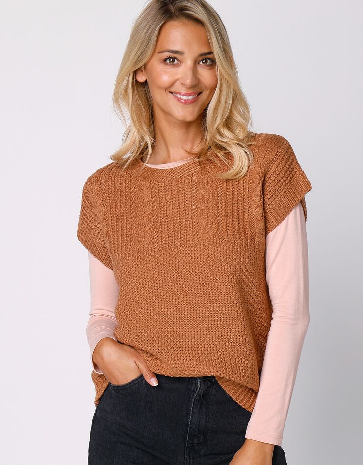 Pull manches courtes maille fantaisie (noisette) Pull manches courtes maille fantaisie (noisette)