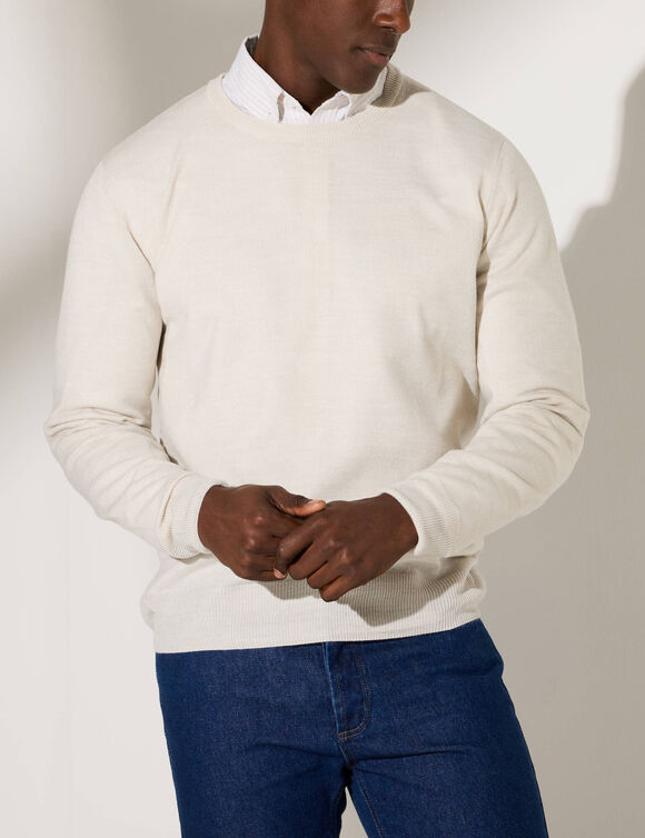 Pull uni col rond (gris clair chin&eacute;)