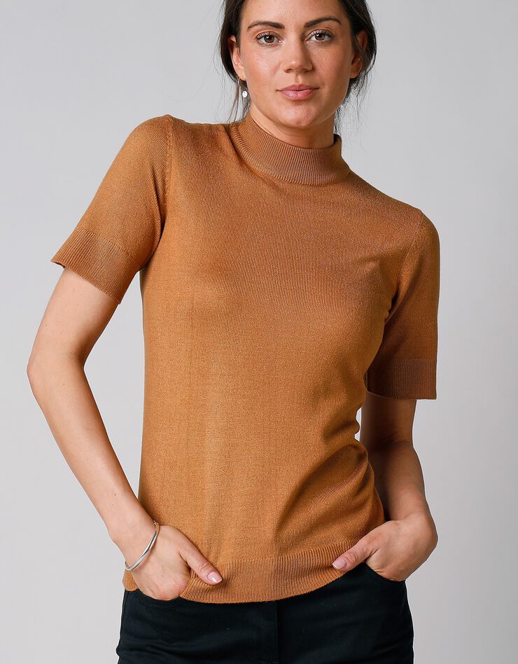 Pull col montant manches courtes toucher cachemire (noisette) Pull col montant manches courtes toucher cachemire (noisette)