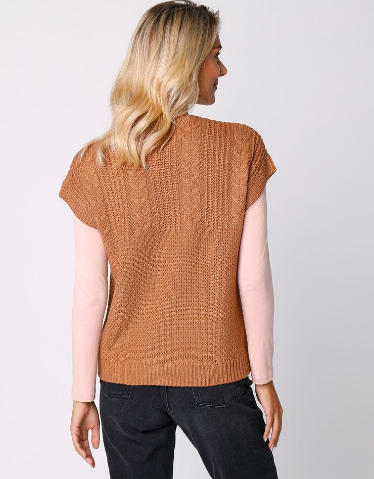 Pull manches courtes maille fantaisie (noisette) Pull manches courtes maille fantaisie (noisette)