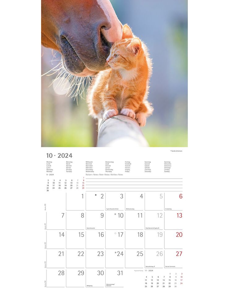 Calendrier 2024 amis animaux (unique)