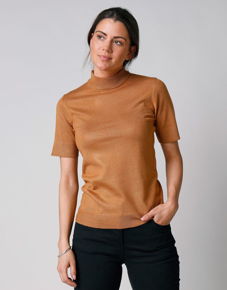 Pull col montant manches courtes toucher cachemire (noisette) Pull col montant manches courtes toucher cachemire (noisette)