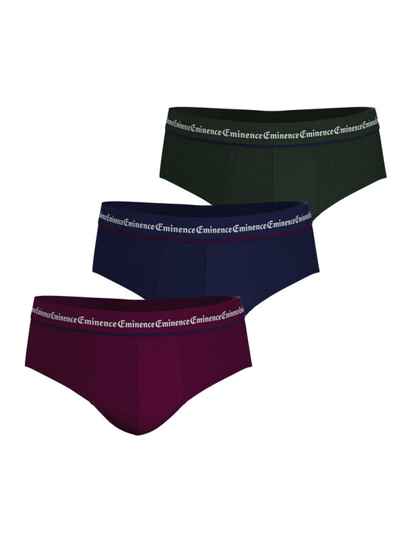 Slip Business Chic - lot de 3 (vert + bordeaux + marine)