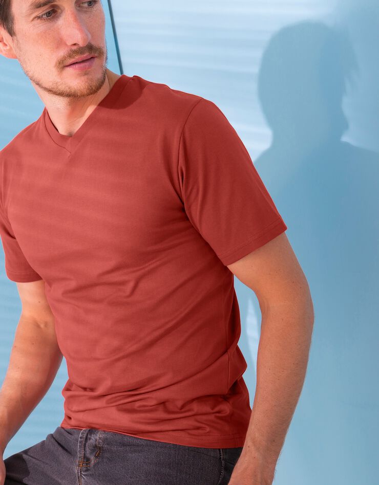Tee-shirt col V manches courtes - lot de 3 (miel / prune / brique) Tee-shirt col V manches courtes - lot de 3 (miel / prune / brique)