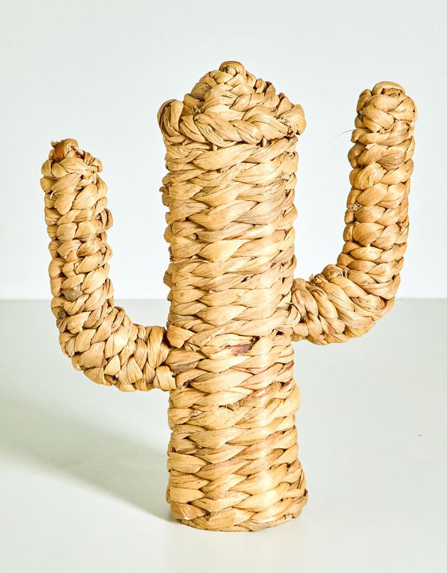 Cactus déco en jonc de mer (naturel)