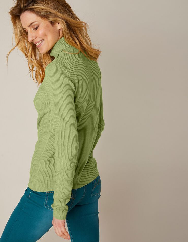 Pull col roulé uni maille côtelée (vert amande) Pull col roulé uni maille côtelée (vert amande)