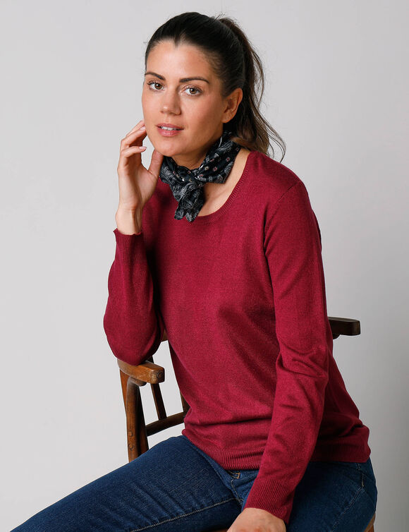 Pull col rond uni, manches longues, toucher doux (prune)