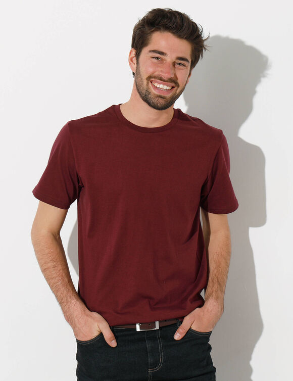 T-shirt col rond manches courtes - lot de 3 (bordeaux + marine + bleu)