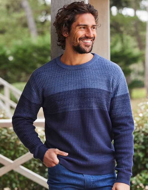 Pull col rond en maille reliefée fantaisie (bleu)