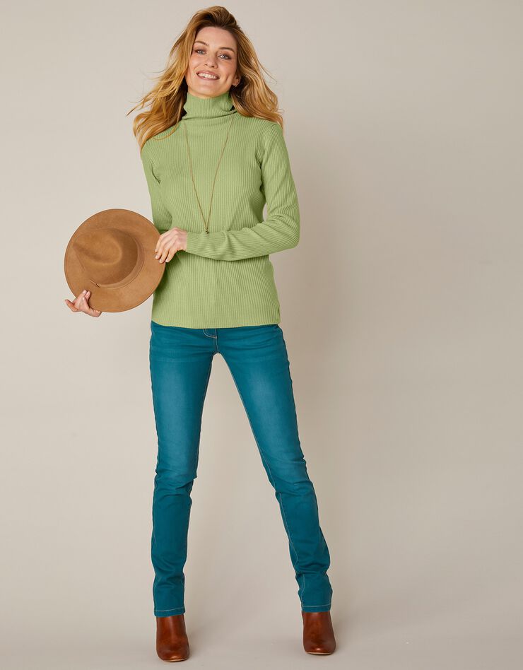 Pull col roulé uni maille côtelée (vert amande) Pull col roulé uni maille côtelée (vert amande)