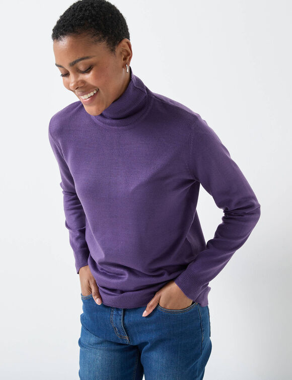 Pull col roulé, toucher doux (aubergine)