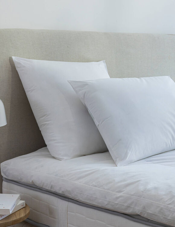 Oreiller anti-acariens Proneem® ferme (blanc)