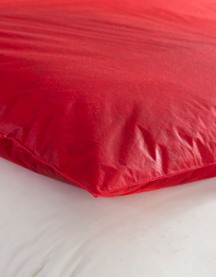 Édredon naturel duvet et plumettes qualité prestige (cerise) Édredon naturel duvet et plumettes qualité prestige (cerise)