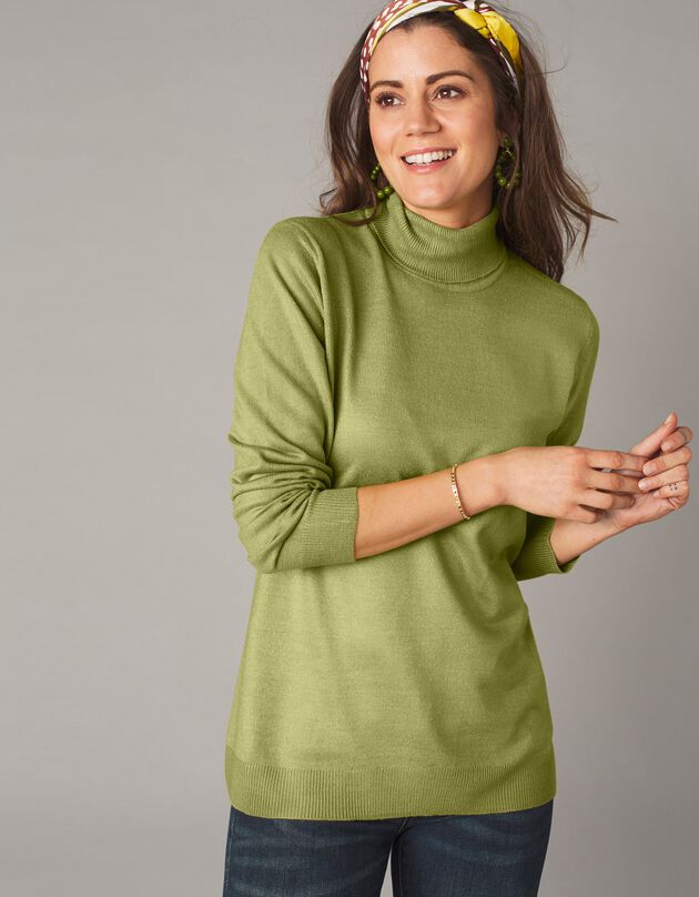 Pull col roulé toucher cachemire (vert mousse) Pull col roulé toucher cachemire (vert mousse)