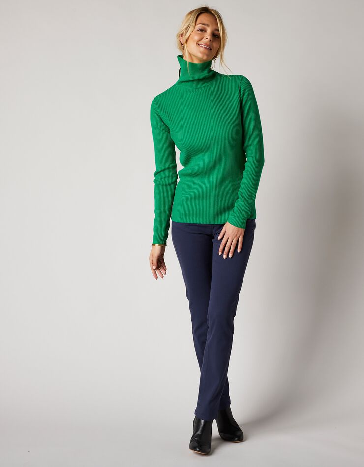 Pull col roulé uni maille côtelée (vert) Pull col roulé uni maille côtelée (vert)