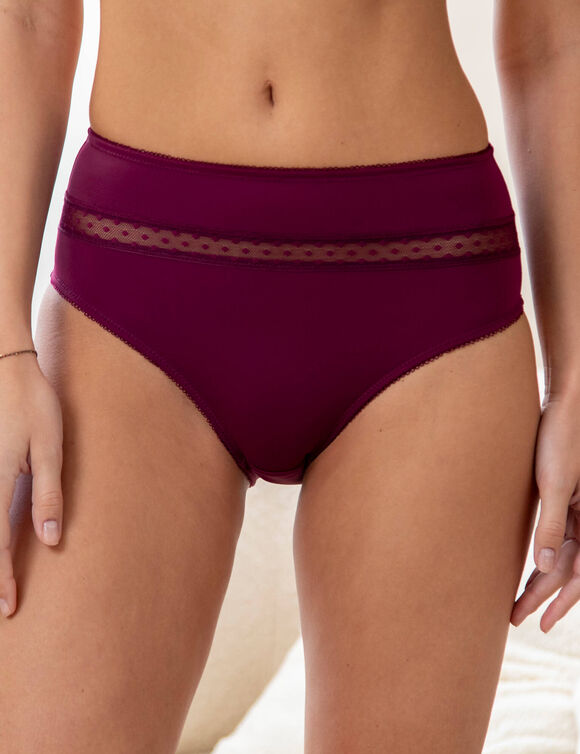 Culotte haute microfibre et tulle plumetis effet seconde peau Paia - lot de 2 (prune)