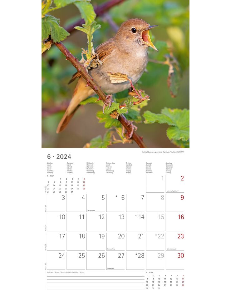 Calendrier 2024 oiseaux (unique)