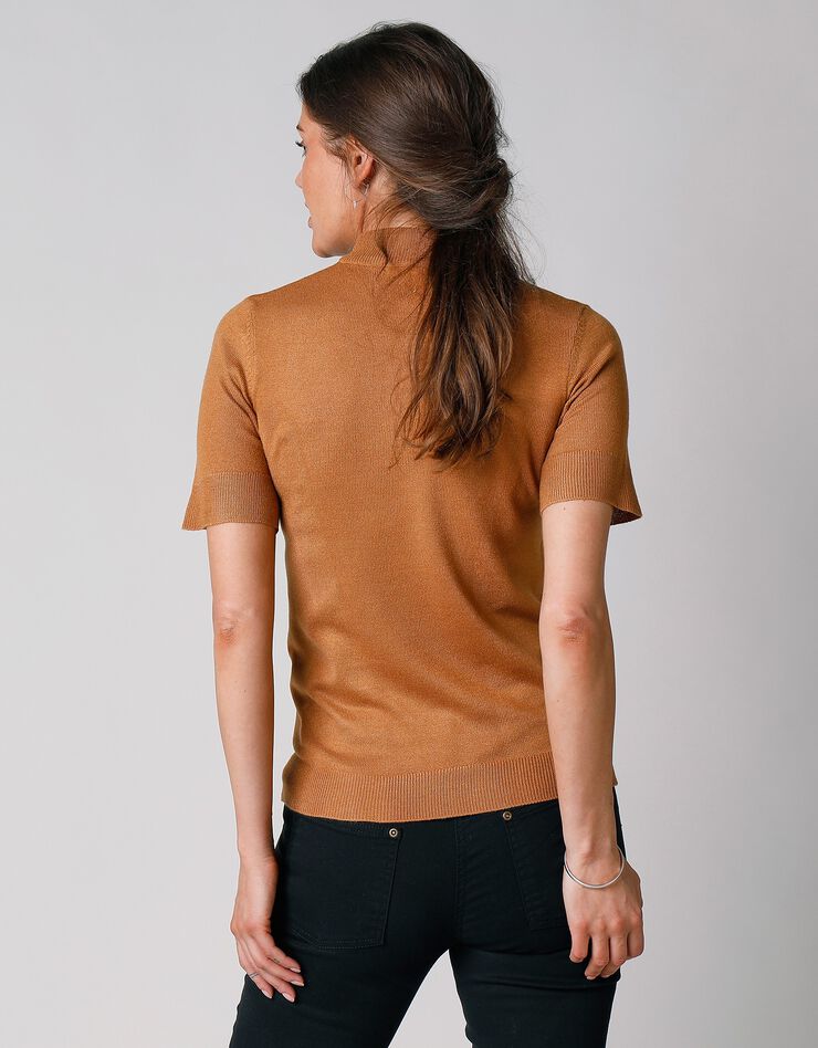 Pull col montant manches courtes toucher cachemire (noisette) Pull col montant manches courtes toucher cachemire (noisette)
