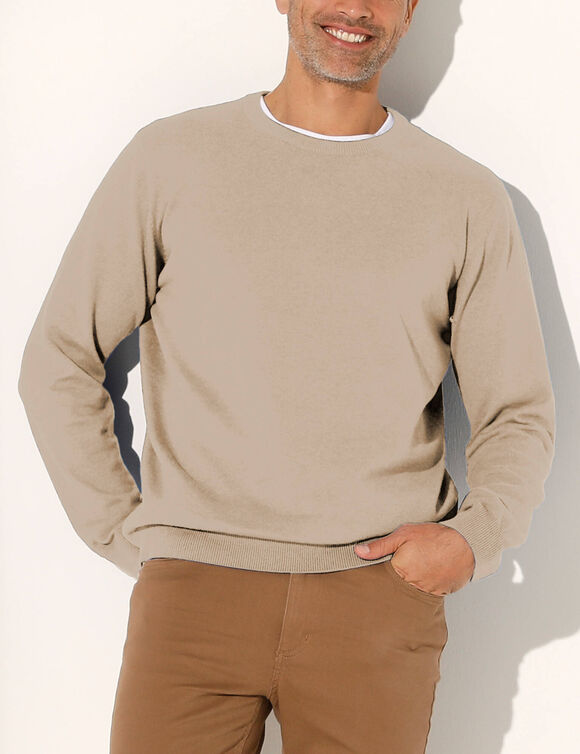 Pull pur coton col rond (taupe chin&eacute;)