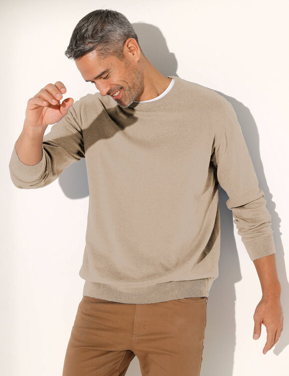Pull pur coton col rond manches longues (taupe chiné)
