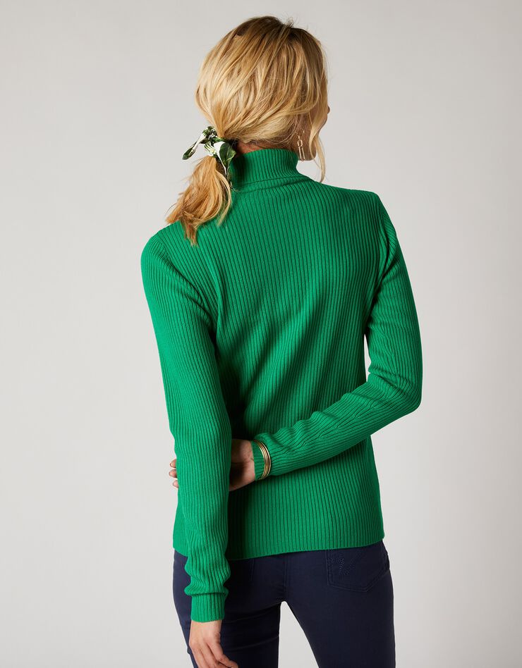 Pull col roulé uni maille côtelée (vert) Pull col roulé uni maille côtelée (vert)