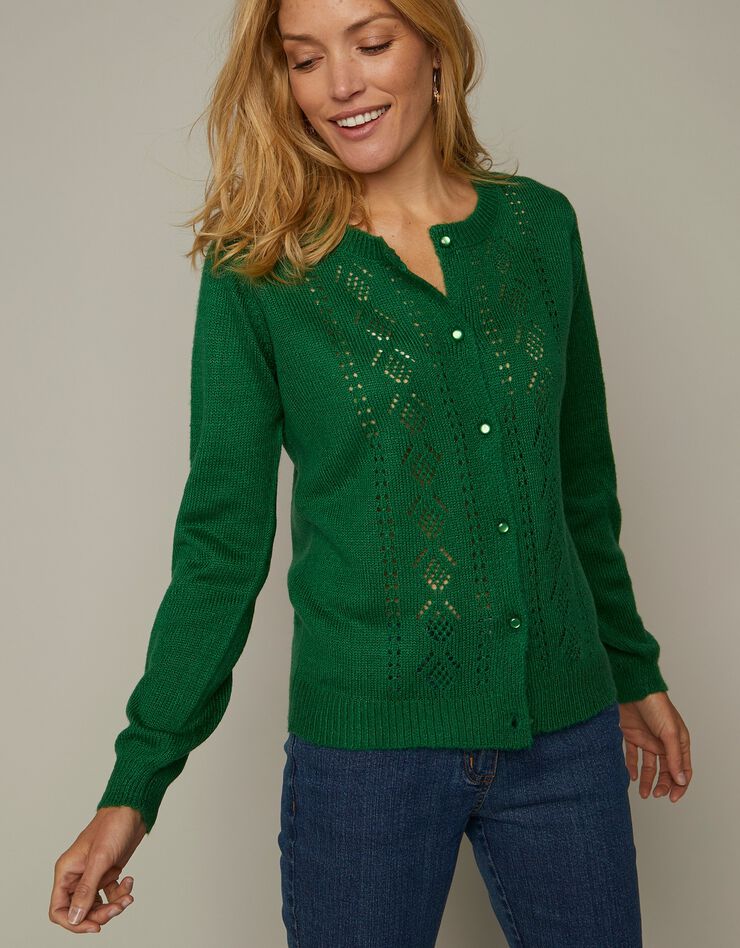 Cardigan boutonné ajouré toucher mohair (vert) Cardigan boutonné ajouré toucher mohair (vert)