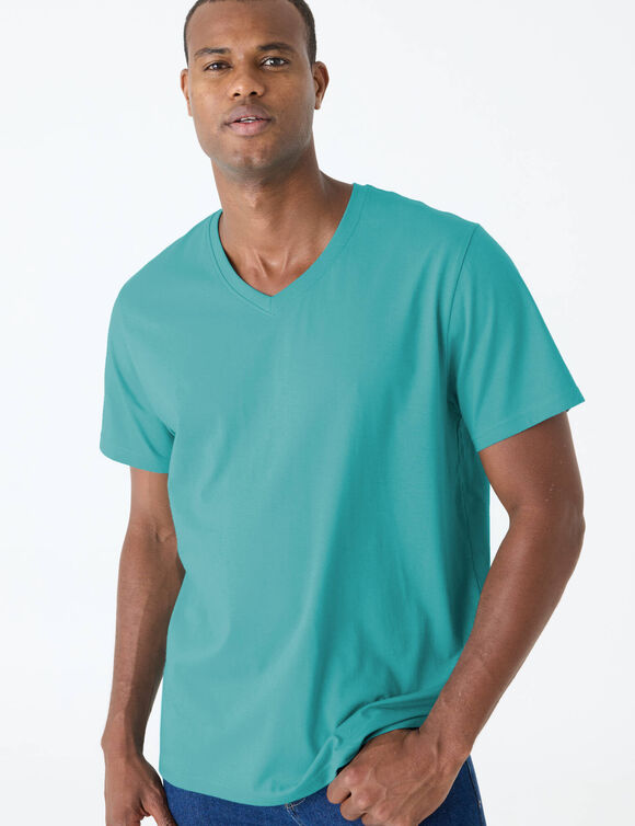 Tee-shirt col V manches courtes - lot de 3 (aqua + vert eau + marron)