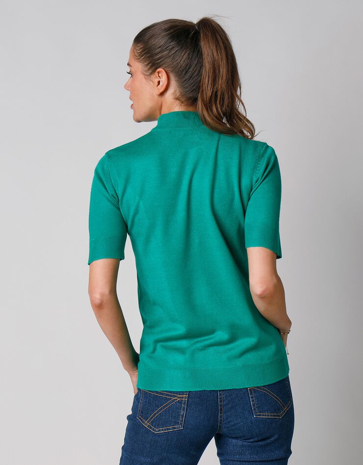 Pull col montant manches courtes toucher cachemire (vert pomme) Pull col montant manches courtes toucher cachemire (vert pomme)