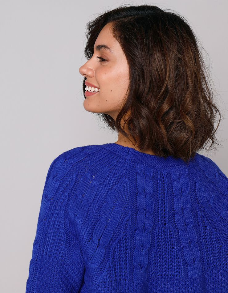 Pull en maille torsadée (bleu dur) Pull en maille torsadée (bleu dur)