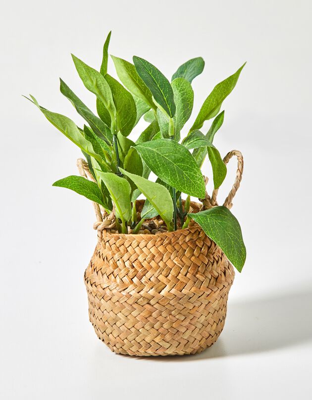 Plante verte artificielle panier jonc (vert)