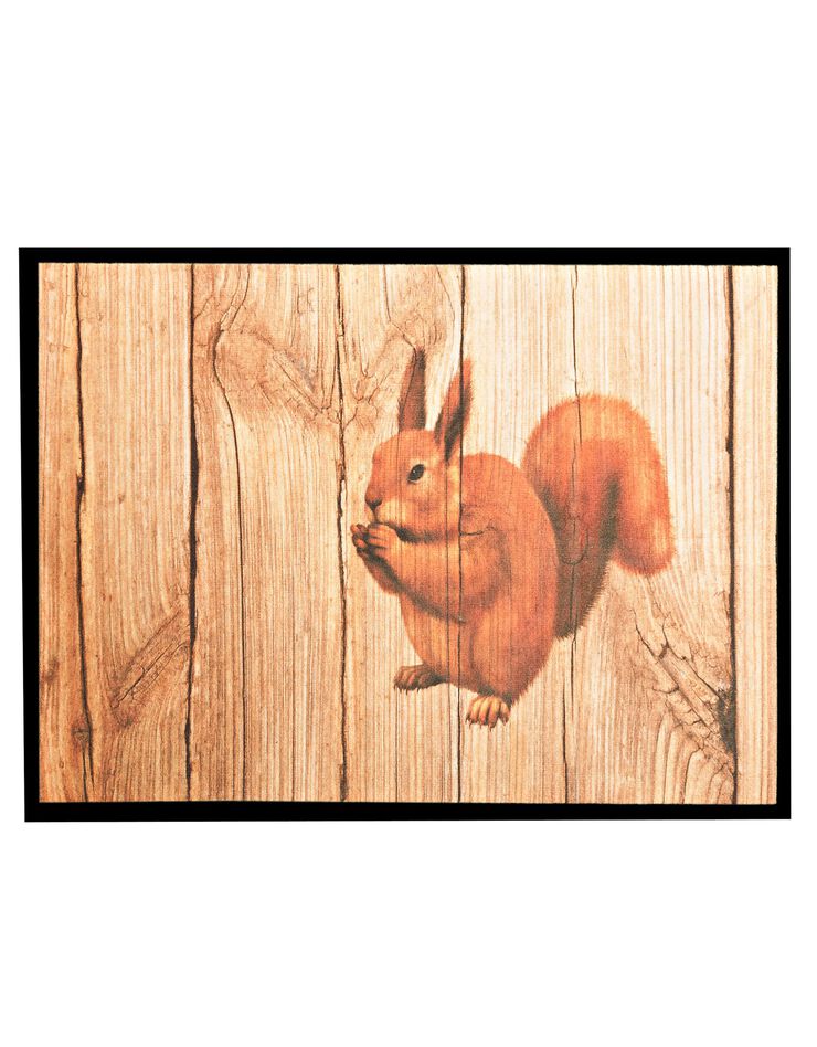 Tapis anti-poussière motif écureuil (unique)
