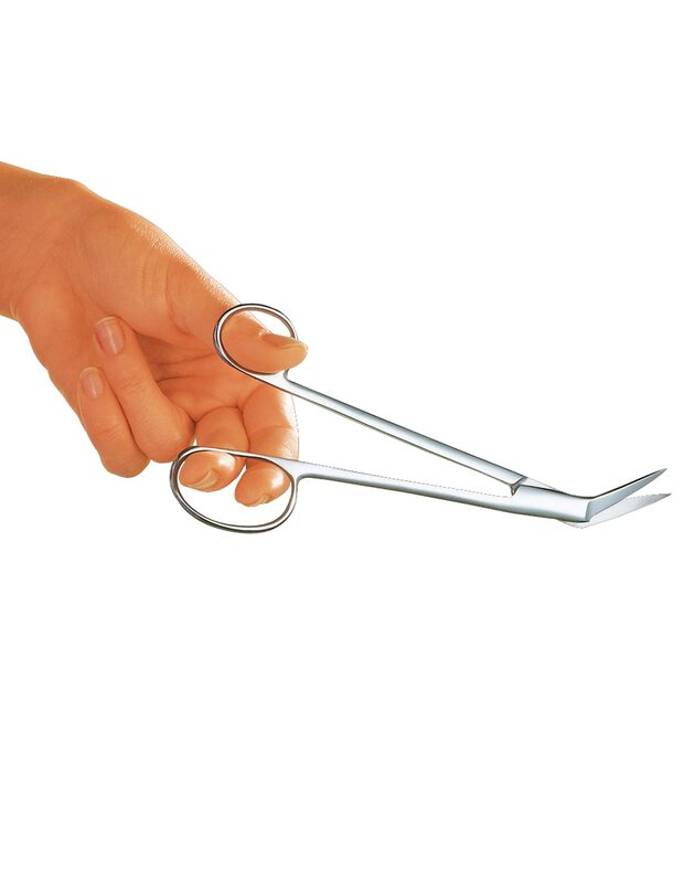 Ciseaux pédicure (ciseaux recourbe pieds)
